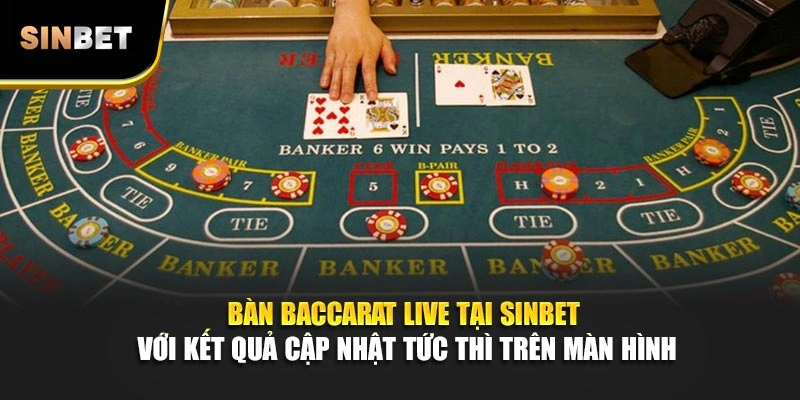 Bàn baccarat live tại SINBET với kết quả cập nhật tức thì trên màn hình