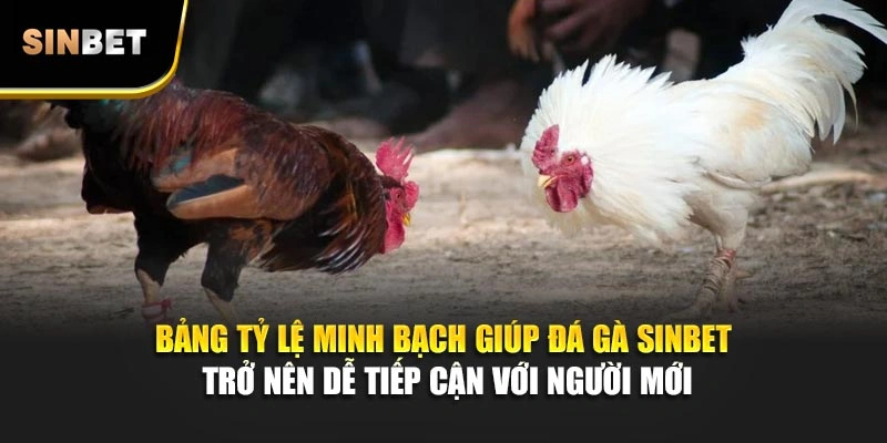 Bảng tỷ lệ minh bạch giúp đá gà Sinbet trở nên dễ tiếp cận với người mới